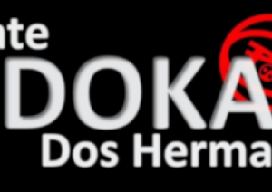 Karate Dos Hermanas Logo